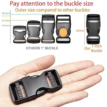 Amazon.com: Buckle 1